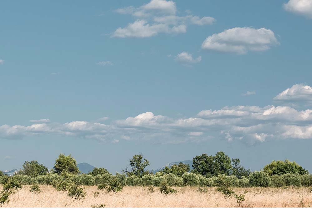 The Arrival of Fall Has Comprehensive Cancer Centers Getting Back Outside Again