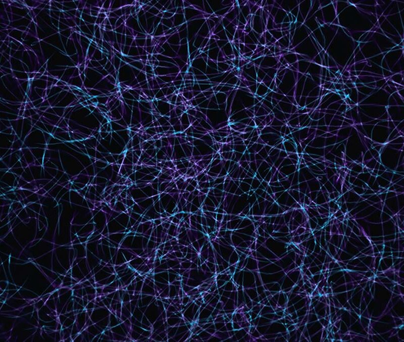 Brain wave electricity